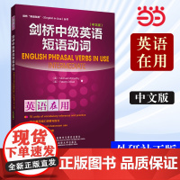 正版书籍 外研社 剑桥中级英语短语动词(剑桥英语在用English in Use丛书)(中文版)—全球销量超千万册 学