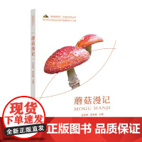 蘑菇漫记