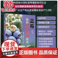 蓝莓高效基质栽培技术 曾其龙 蓝莓基质栽培的现状与发展蓝莓生物学特性 全彩图解蓝莓基质有机栽培 蓝莓专业技术人员科研人员