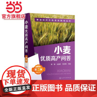 粮油经济作物高效栽培丛书--小麦优质高产问答(第二版) 杨雄 化学工业出版社 正版书籍