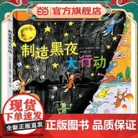 制造黑夜大行动海豚绘本花园精装硬壳书超级眼力运动会3-8岁幼儿园绘本