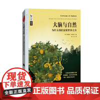 哲人石丛书·大脑与自然:为什么我们需要世界之美