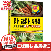 萝卜、胡萝卜、马铃薯病虫害快速鉴别与防治妙招 王天元 化学工业出版社 正版书籍