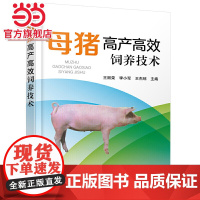 母猪高产高效饲养技术 王丽荣 化学工业出版社 正版书籍
