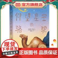 仰望星空的骆驼