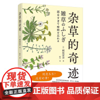 杂草的奇迹 杂草学家稻垣荣洋精心总结 脚下蔓延的杂草生存策略