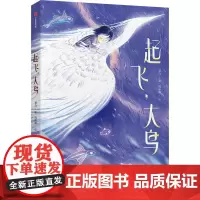 起飞,大鸟