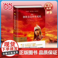 钢铁是怎么样练成的(精装全译本)正版原著 初高中八年级下册名著无删减无障碍阅读课外书课外阅读书籍木头马亲近经典