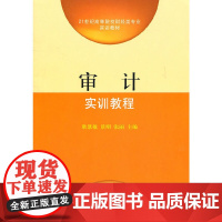 审计实训教程(高等财经实训)