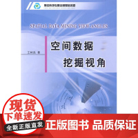 空间数据挖掘视角