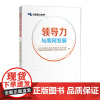 领导力与南网发展