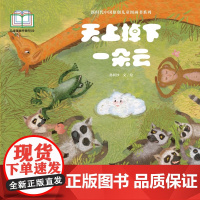 新时代中国原创儿童图画书系列:天上掉下一朵云