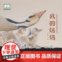 新时代中国原创儿童图画书系列:我的妈妈