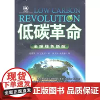 低碳革命:全球绿色新政