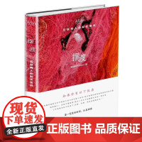 摆渡——互联网人的解忧密码