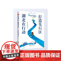 《打造先行区 湖北在行动》