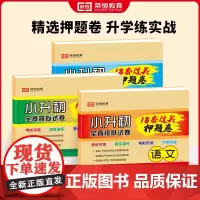 [荣恒]2024小升初全真模拟18套过关押题卷语文+数学+英语人教版六年级下册小学毕业升学复习名校全真模拟真题卷小学升初