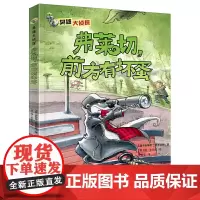 臭鼬大侦探系列:弗莱切,前方有坏蛋