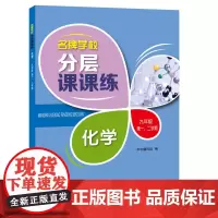 名牌学校分层课课练 化学 九年级第一、二学期