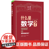什么是数学 走进大学系列丛书 正版书籍