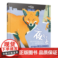 城市里的野生动物朋友:夜行者