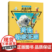 未来少年:玲珑纳米王国