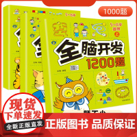 儿童全脑开发思维训练2-3-4-5-6岁幼儿园左右脑开发1200题数学思维逻辑书小班中班大班宝宝幼小衔接益智早教启蒙认知