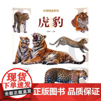 科普图鉴系列 虎豹 上百幅虎、豹的野外实拍图,将虎和豹的狩猎、进食、嬉戏、 休息等真实场景
