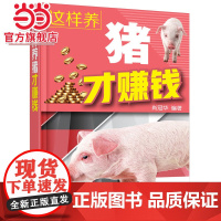 这样养猪才赚钱 肖冠华 化学工业出版社 正版书籍