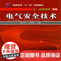 安全技术系列--电气安全技术(夏洪永)