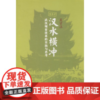 汉水横冲:武汉城市改革的实践与思考