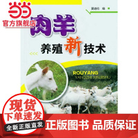 肉羊养殖新技术