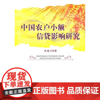 中国农户小额信贷影响研究 朱乾宇  人民出版社 正版书籍