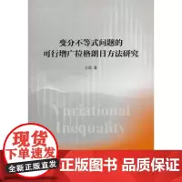 变分不等式问题的可行增广拉格朗日方法研究