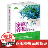 家庭养花实用大全(春夏秋冬一年四季的养护技巧,轻松打造室内绿意,呵护全家身心健康)