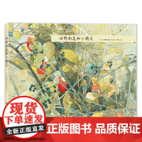 安野光雅大师精装绘本:田野的花和小精灵