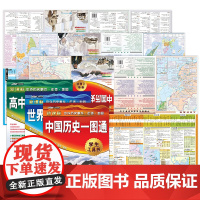 中国历史+世界历史+高中历史一图通 套装组合3册(高中生专用,学生历史课,工具书,大幅历史地图,中外历史时间轴对照,速记