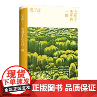 光明于低头的一瞬(迟子建散文系列)