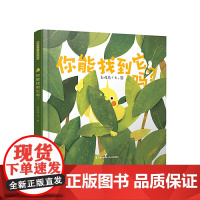 暖房子华人原创绘本·你能找到它吗?