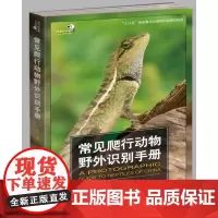 常见爬行动物野外识别手册