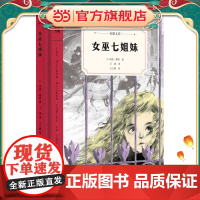 女巫七姐妹(奇想文库第二辑 精装 中年级适读 普利策戏剧奖获得者玛丽·蔡斯倾心之作)