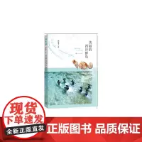 美丽的西沙群岛 刘先平 人民文学出版社 正版书籍