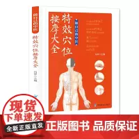 做自己的中医 特效穴位按摩大全 特效穴位按摩 特效穴位人体经络按摩书 中医学穴位按摩书 养生大全中医推拿按摩书养生调理特