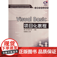 Visual Basic项目化教程