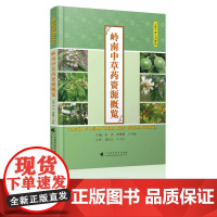 岭南中草药资源概况