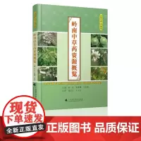 岭南中草药资源概况