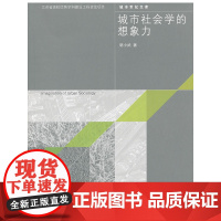 城市社会学的想像力 胡小武 东南大学出版社 正版书籍