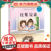 沈石溪绘本·姐妹花和她们的动物朋友:红隼兄弟