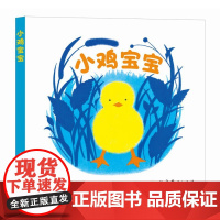 小鸡宝宝