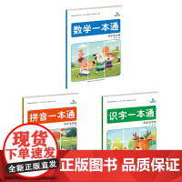 拼音、识字、数学一本通 同步活动册(套装全3册)